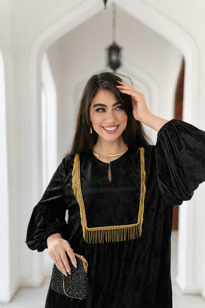 Royal embroidered velvet dress