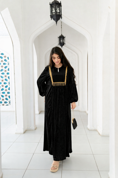 Royal embroidered velvet dress